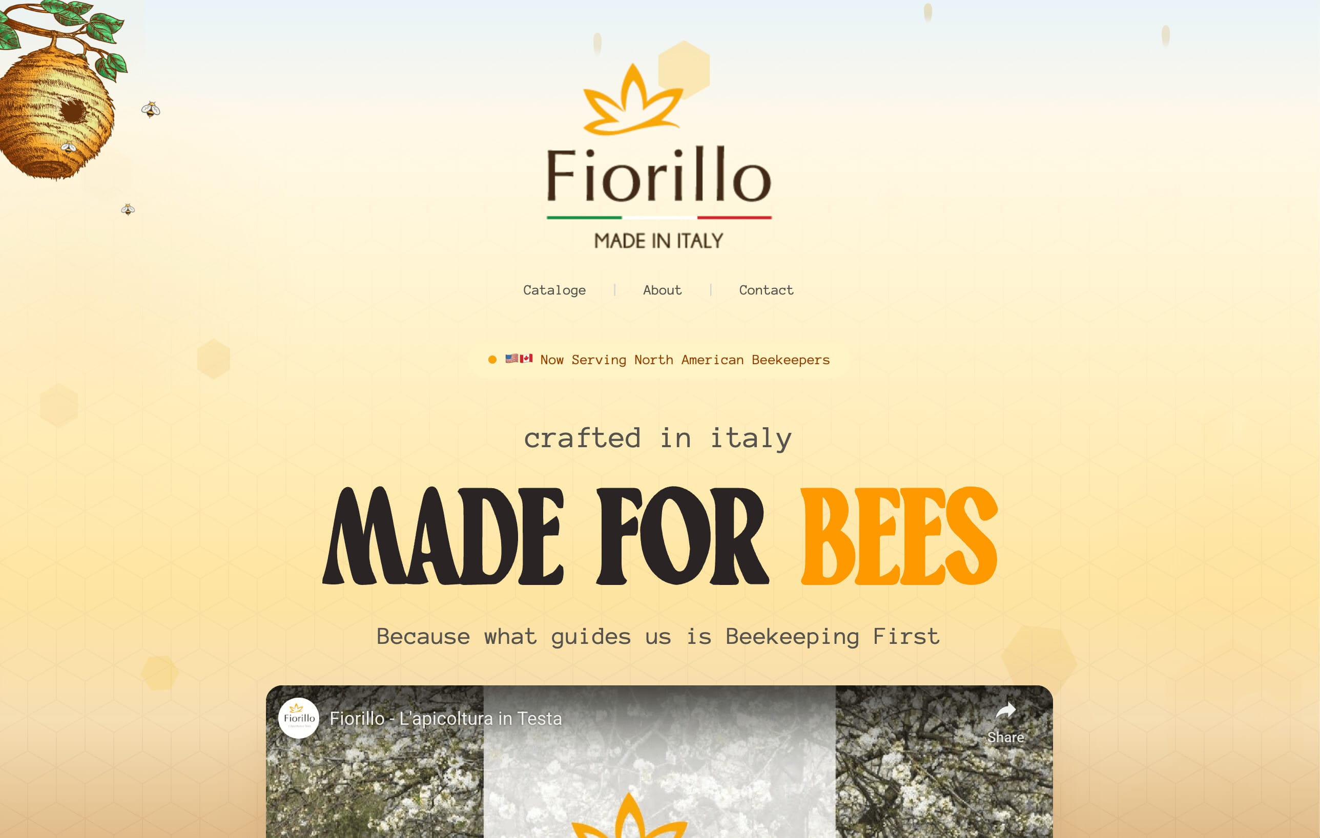 fiorillo-us.com